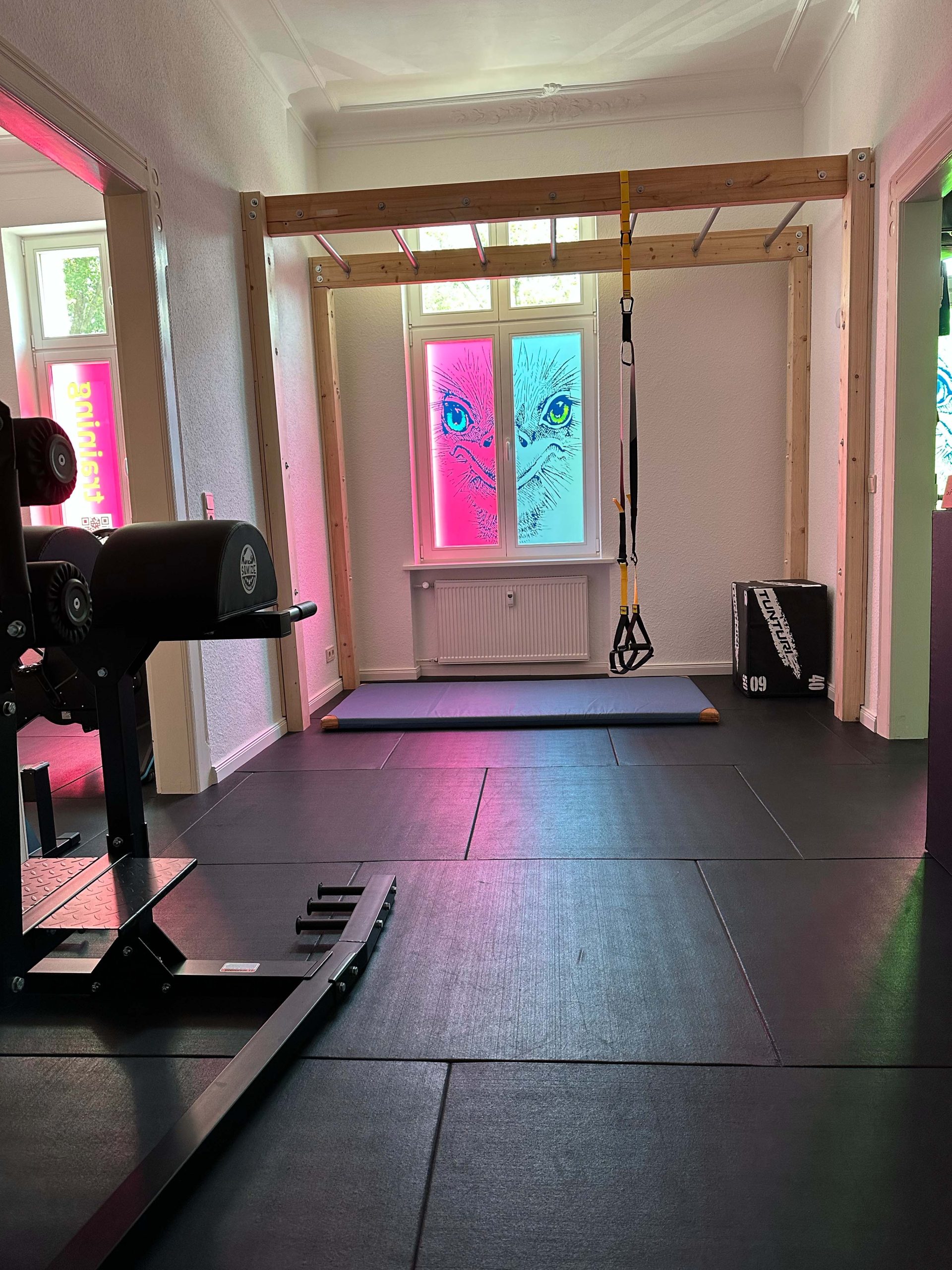 Trainingsbereich mit Schlingentrainer von TRX,Glute Ham Developer von Squmize und Markenfenster bei move.room Leipzig von Carina Lange